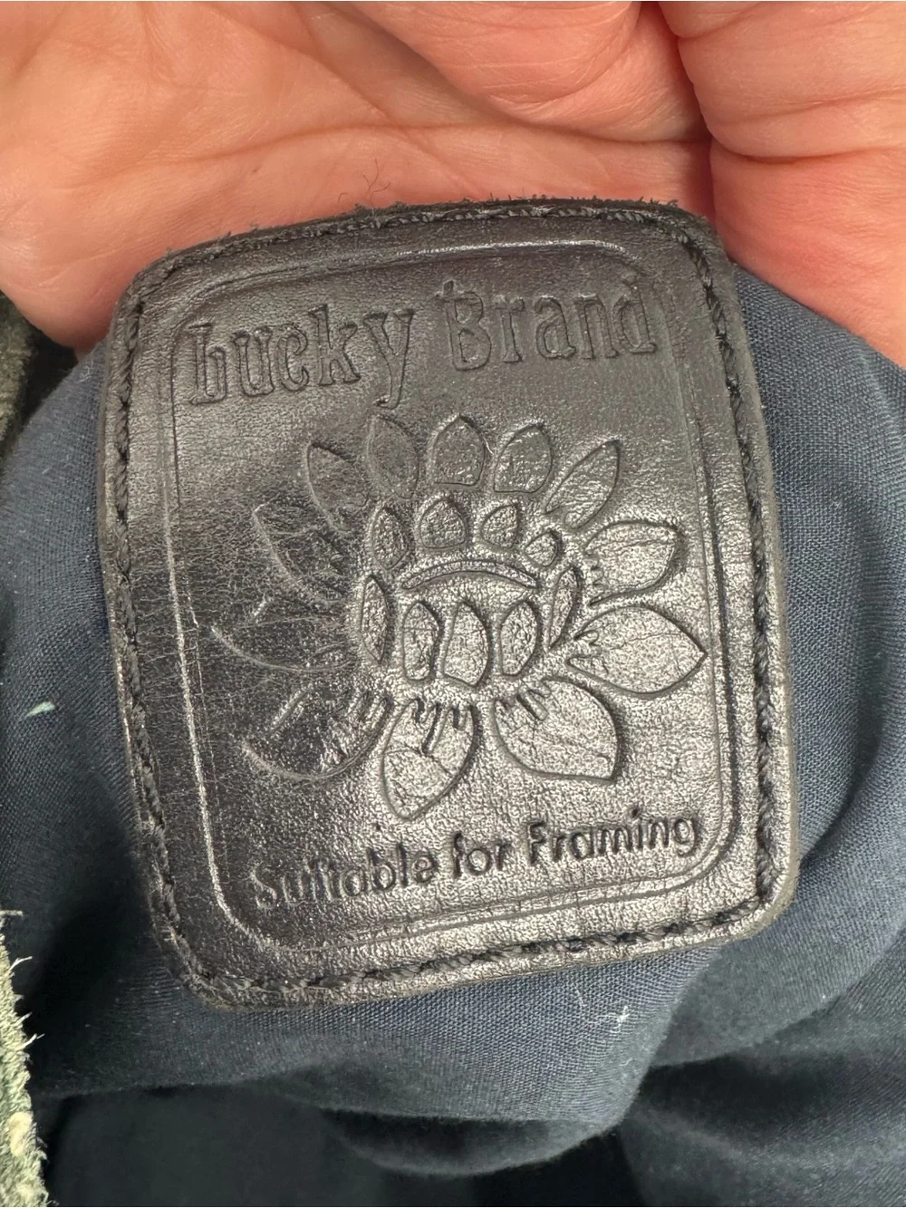 LUCKY BRAND Backpack (Deep Green Suede, Black Suede, Canvas Body, Cotton Straps)